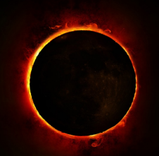 Imagen de la respuesta